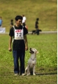 犬の種類:ラブラドール・レトリバーと犬のしつけ訓練士