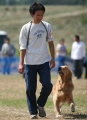 犬の訓練士とゴールデン・レトリバー