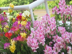 花, 植物, テーブル, 花瓶 が含まれている画像
非常に高い精度で生成された説明
