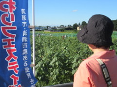 空, 人, 屋外, 男性 が含まれている画像
非常に高い精度で生成された説明