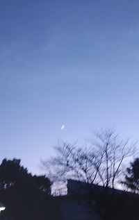 三日月と金星