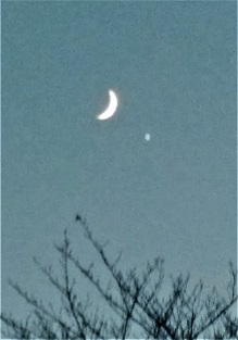 大写しの三日月と金星