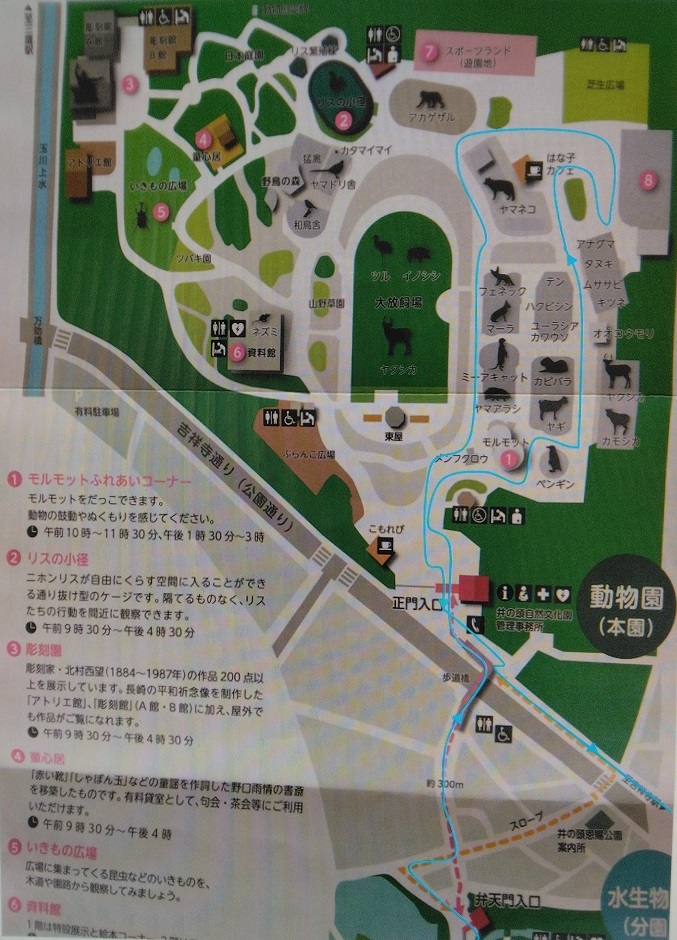 ��̓����R������_������