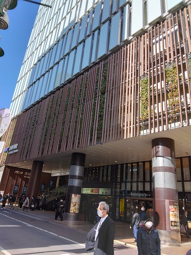 �g�ˎ��w������P