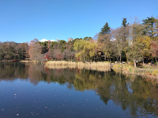 �_�ɉB�ꂽ�x�m�R