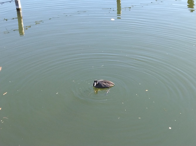 �x�m�R�n�C�����h