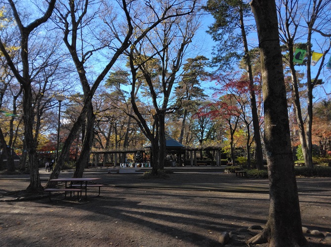 �����������i