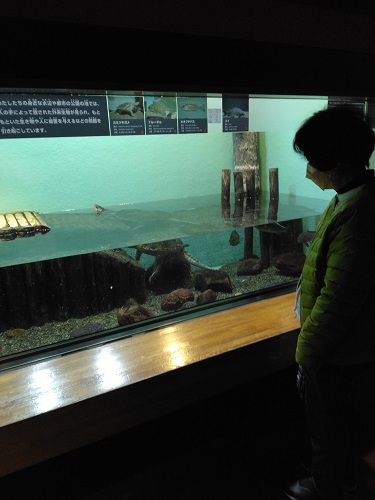 �J�~�c�L�K��