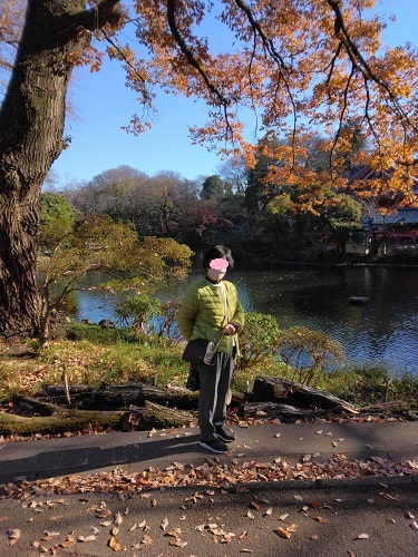 ��̓��r���o�b�N��