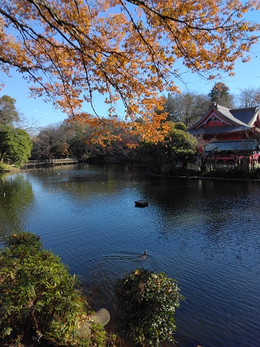 ��̓��ٍ��V