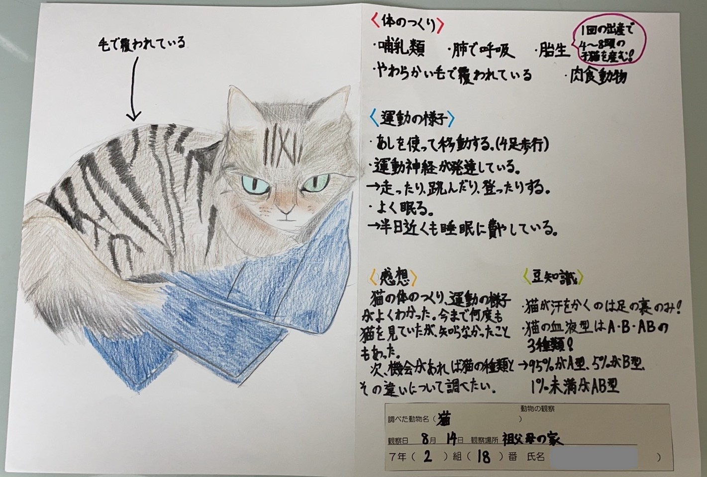 写真を見ての描写及び研究内容