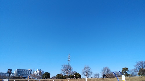 東伏見公園