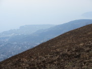 �厺�R����̒��]�̉摜