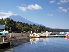 �R���΂���̕x�m�̉摜