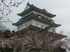 ���c����V��t�̉摜