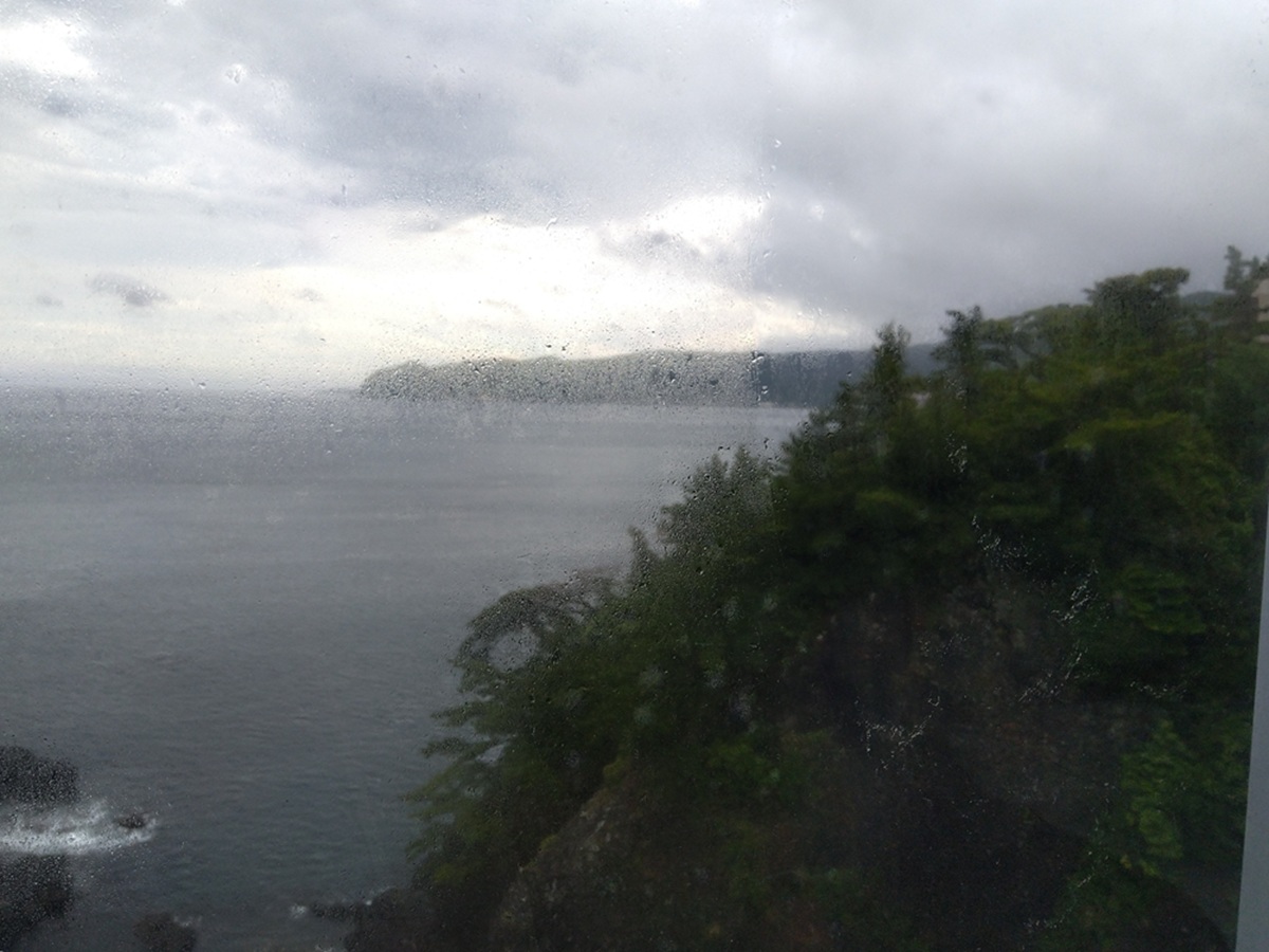 ��������̖ԑ����