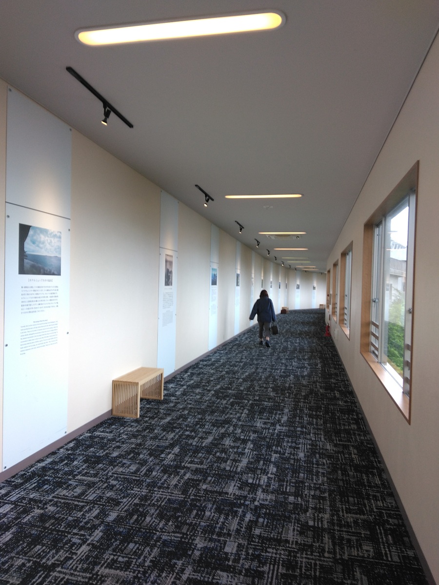 �����L��