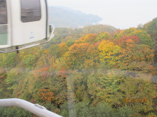 �g�t_���莞