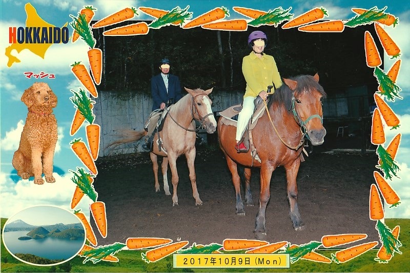 ��l�ŏ�n_�ǉ�