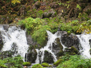 ���ɐ����o�������̗N�����t��