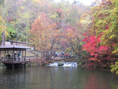 ���ɐ����o�������̐���