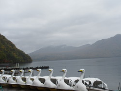 �x┌΁Q�X�����{�[�g