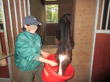 �m�[�U���z�[�X�p�[�N�Q�a����