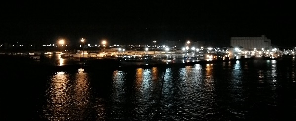 �����m�t�F���[��������Q�Ϗ��q�`�Q�V��