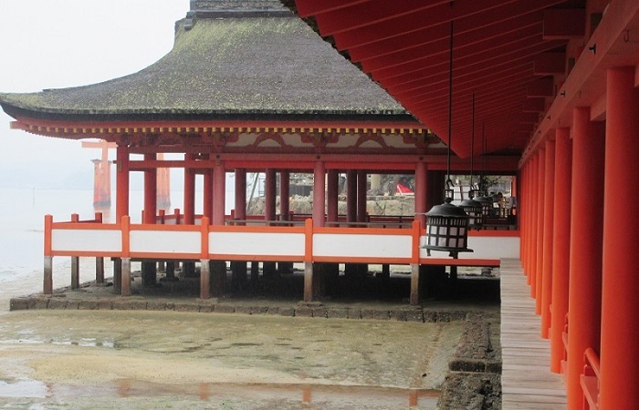 �����_�ЂƑ咹��