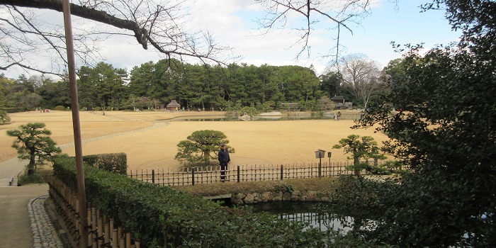 ��y���̒뉀_3