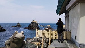 �Ж����e����̕v�w��