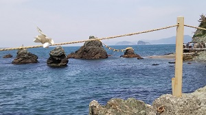 �v�w��Ɠ��u��