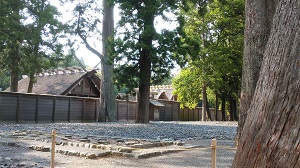 �O�{ ����a�Ɛ��a