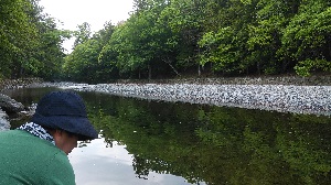 �܏\�������