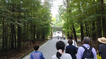 �����F�{�ւ̎Q��