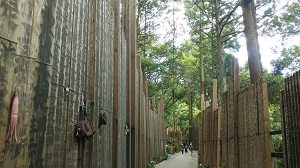 �����k�̎Q��