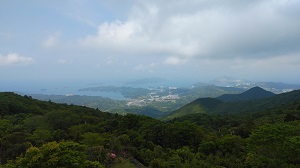 ���F�R�W�]�䂩��̉��i