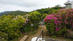 ���F�R�W�]��̎���