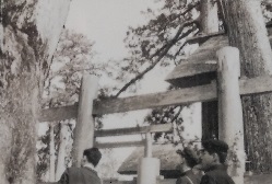 ���{�_����̑�ʂ�