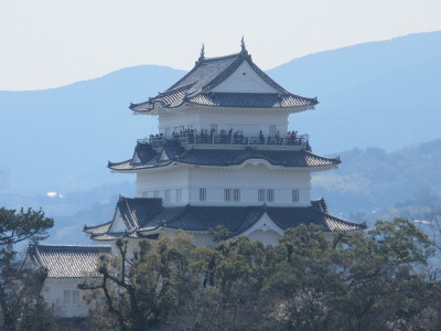 ���c����