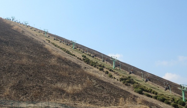 �厺�R���t�g�����