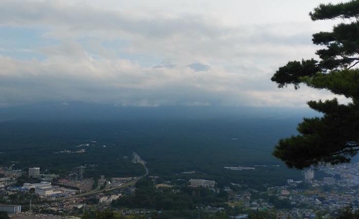 �_�ɉB�ꂽ�x�m�R