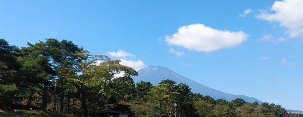 �ΔȂ���̕x�m�R