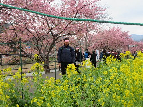 �͒Í�&�؂̉�