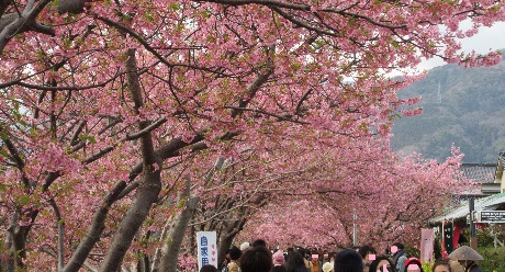 �͒Í��̃g���l��