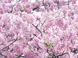 ���]�[�g21��