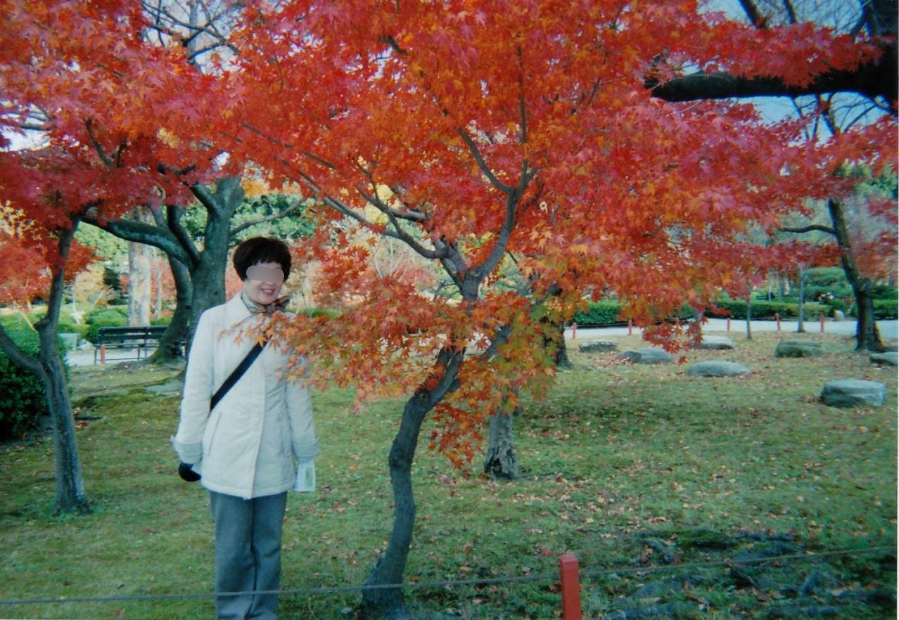 ���t���̍g�t