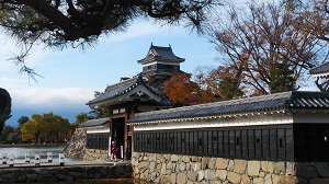 �E���V��t