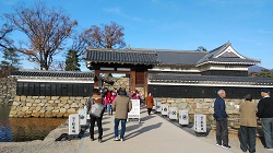 �����̖�