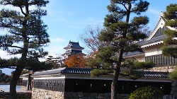 �����̖�z���̑�V��